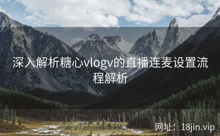 深入解析糖心vlogv的直播连麦设置流程解析 第2张 深入解析糖心vlogv的直播连麦设置流程解析 第2张