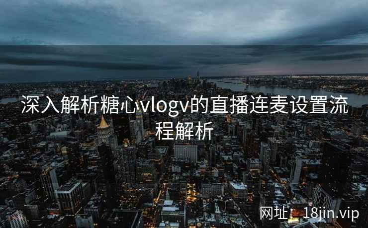 深入解析糖心vlogv的直播连麦设置流程解析