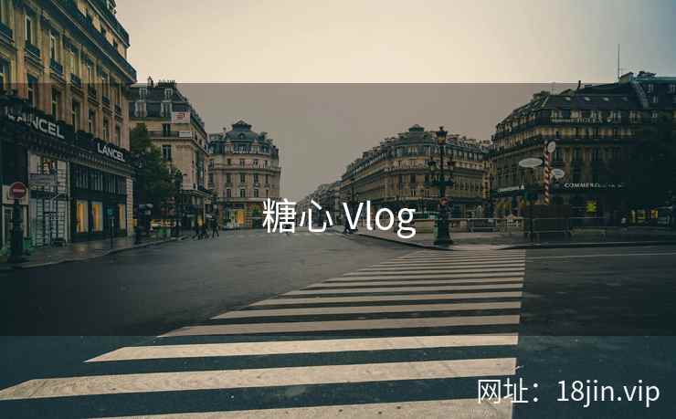 糖心 Vlog 第2张