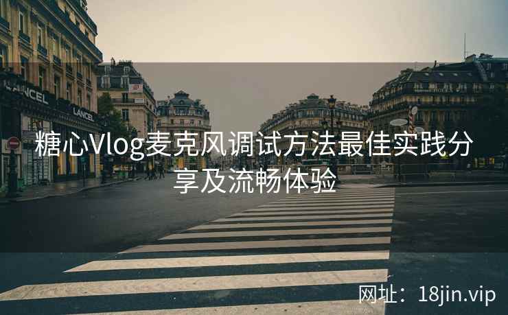糖心Vlog麦克风调试方法最佳实践分享及流畅体验 第2张 糖心Vlog麦克风调试方法最佳实践分享及流畅体验 第2张